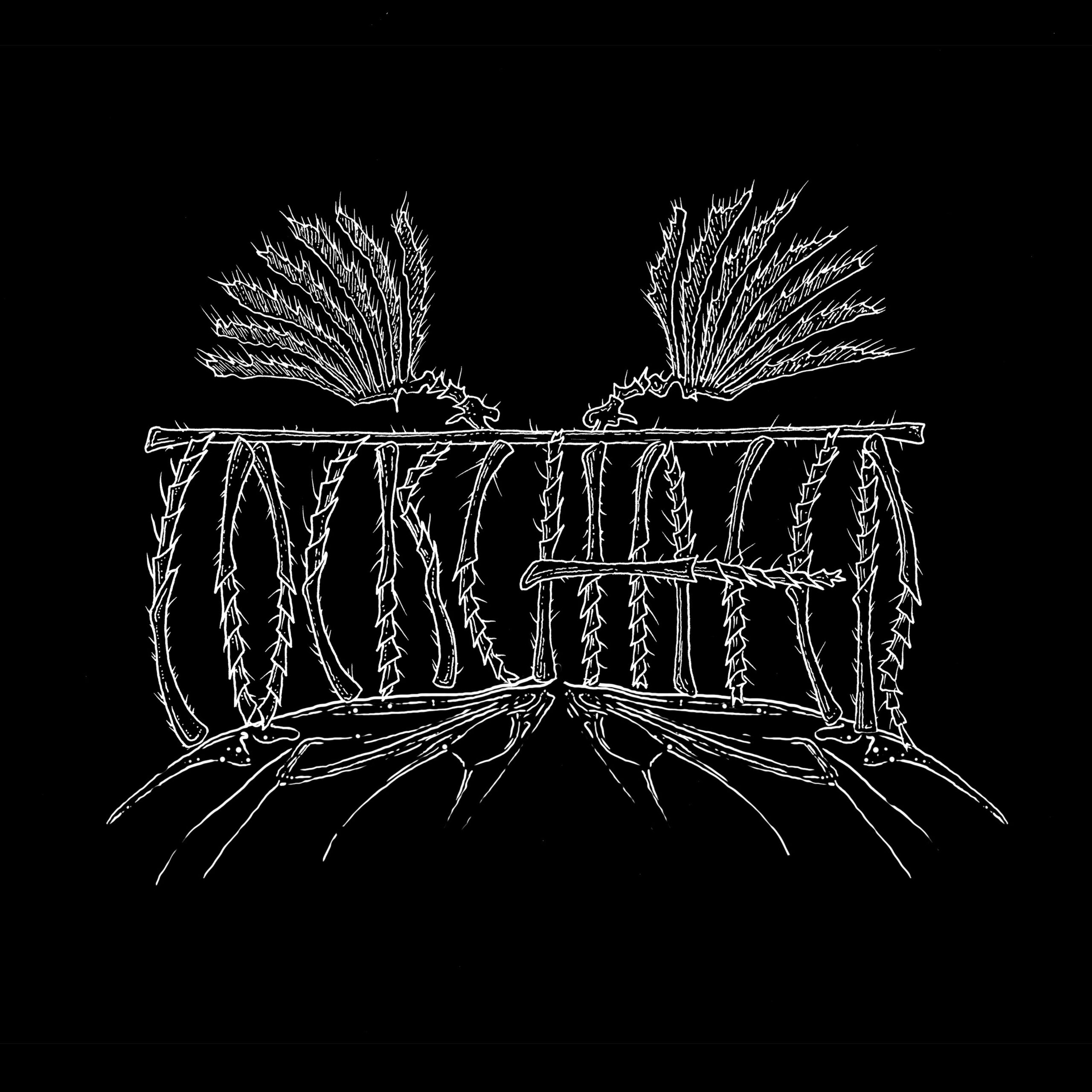 Cockchafer